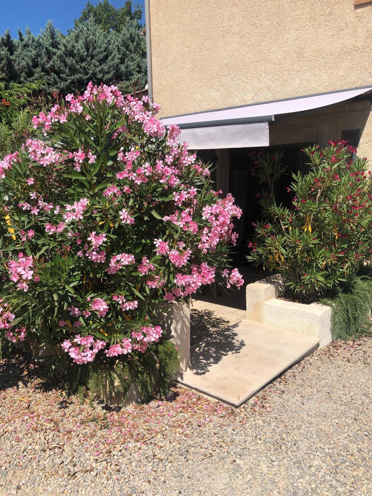 Ferienwohnung Le Cocon De Provence Fayence Exterior foto