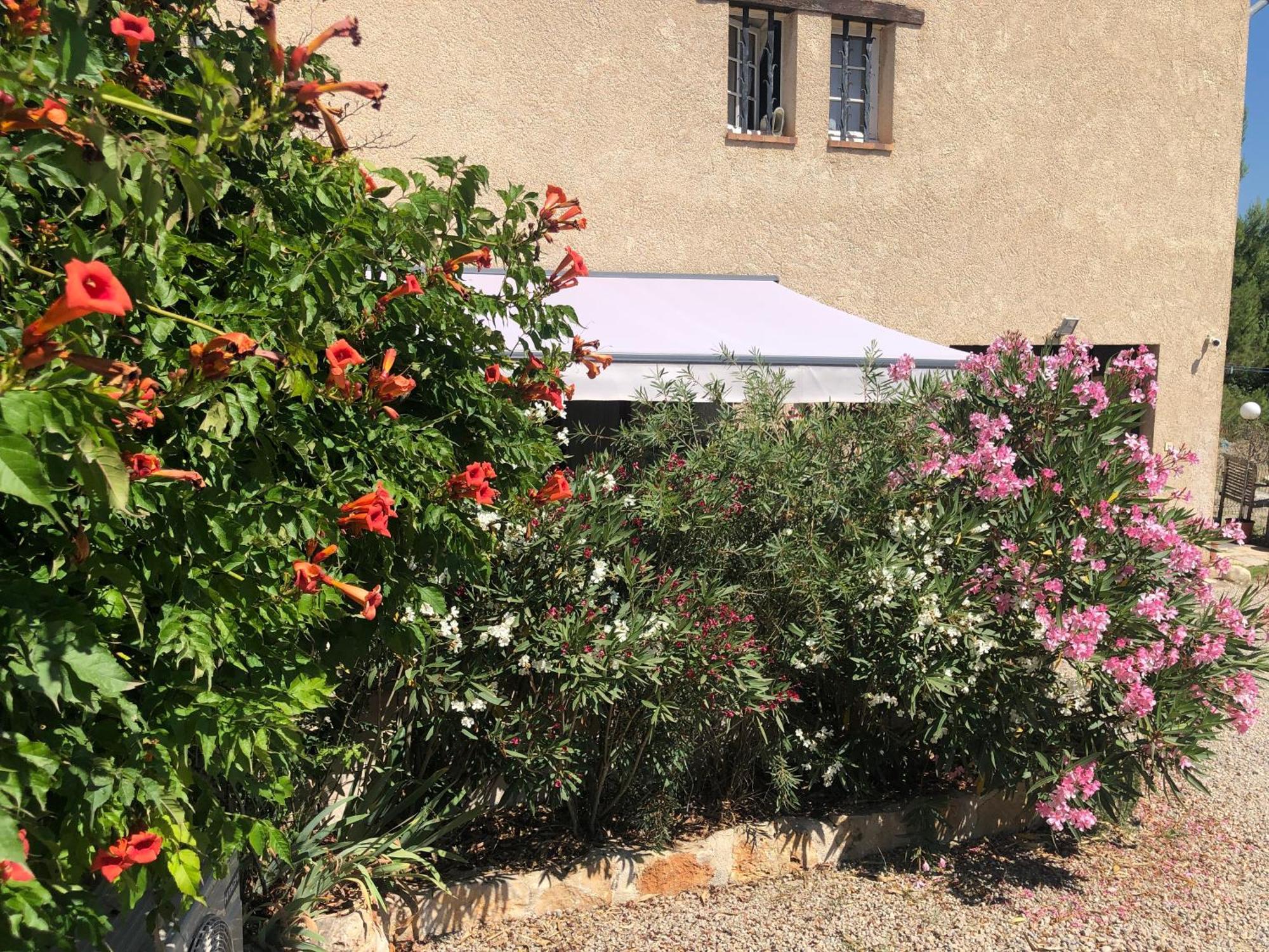 Ferienwohnung Le Cocon De Provence Fayence Exterior foto
